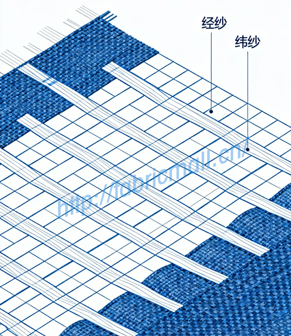牛津布经纬纱结构示意图